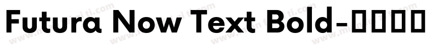 Futura Now Text Bold字体转换
